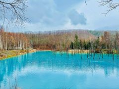 -青池