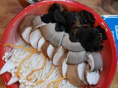 -东镇老火锅(长春路首店)