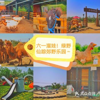 京郊溜娃，绿野仙踪郊野乐园～