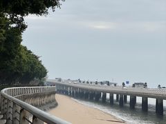-演武大桥观景平台