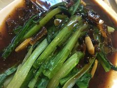 鲮鱼油麦菜-国人川菜(李家村建东街店)