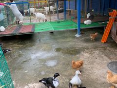 -美的鹭湖探索王国