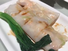 -南枝记