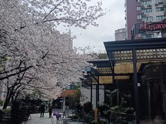 -玛格萝妮比萨屋(四平店)