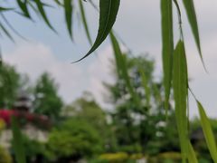 -成都市文化公园