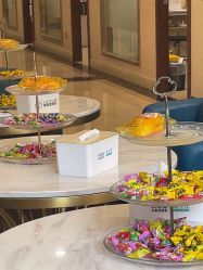 -碧莲盛·不剃发植发