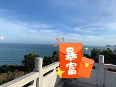 -广东惠东海龟国家级自然保护区