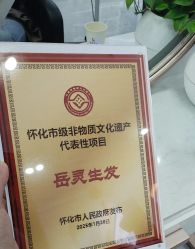 -岳灵生发养发馆