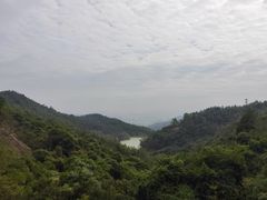 -广州白江湖森林公园