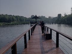 -前关湿地公园