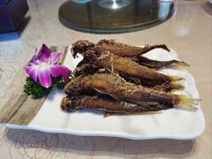 -浦江餐饮•上海菜馆(五四路店)