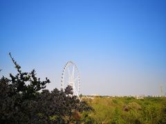 -石家庄市植物园