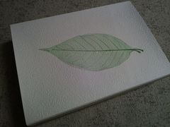 -胖爸爸烘焙工作室(平湖家居店)