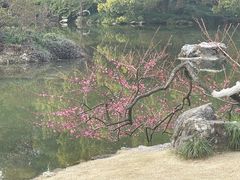 -杭州植物园