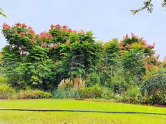 -云龙湖旅游景区