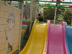 -南宫五洲植物乐园