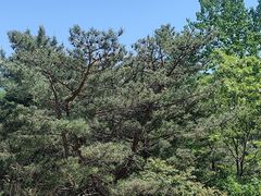 -昆嵛山石门里景区