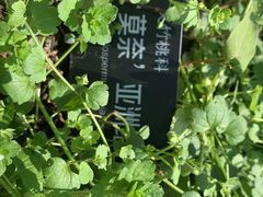 -敬亭山风景名胜区