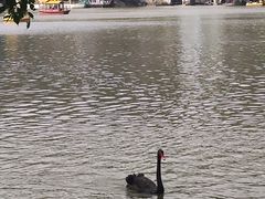 -珠海圆明新园