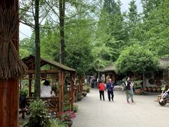 -青城甲(青城山店)