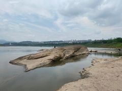-金海湾滨江公园
