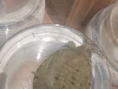 -映月潭传家菜(易俗河店)