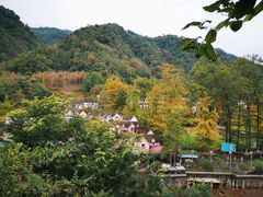 -四川省成都市彭州市白鹿镇