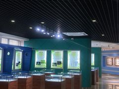 -上海昆虫博物馆