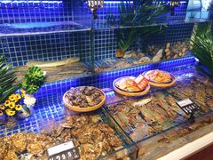 水产区-必点海鲜·鲅鱼水饺(鞍山西道店)