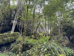 -梭布垭石林景区