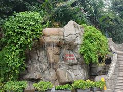 -九龙公园