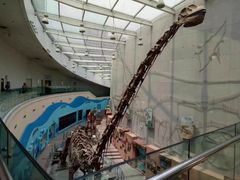 -陕西自然博物馆