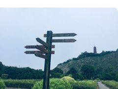 -南沙蒲洲花园