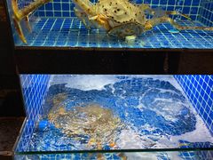 -徽三说·土徽菜·中国徽菜连锁品牌(一中店)