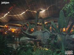 DSC01521-绿色时代大酒店