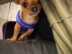 -山下C5cafe(惠通时代广场店)