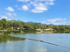 -飞来湖湿地公园