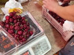 -红星农博物流中心
