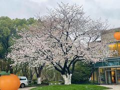 -阳澄湖费尔蒙酒店