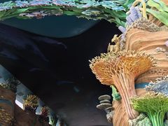 -珠海长隆海洋王国