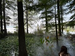 -东湖落雁景区