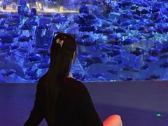 -哈尔滨波塞冬海底世界