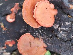 -雁荡山三折瀑景区