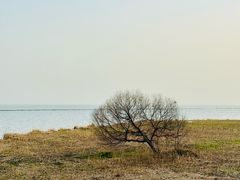 -贡湖湾湿地公园