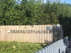 -都江堰中华大熊猫苑