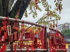 -会龙寺
