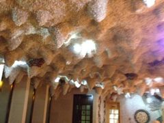 iphone_upload_pic-壹号港湾