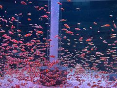 -海合安成都极地海洋公园
