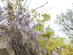 -白塘生态植物园