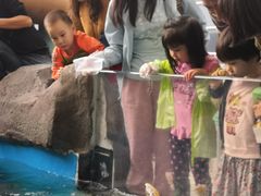 -成都浩海立方海洋公园